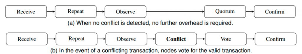 Делегированные узлы только проверяют конфликтующие транзакции