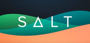 Обзор криптовалюты SALT Lending (SALT)