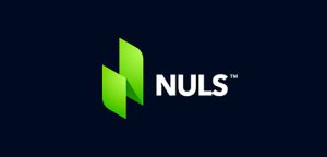 Обзор криптовалюты NULS